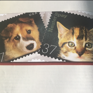 神里绫华❌同人18禁网站
