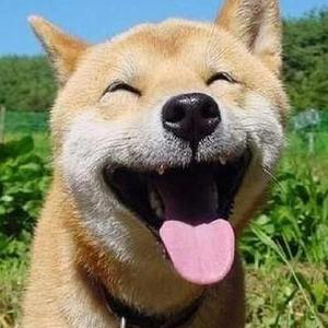 神里绫华❌同人18禁网站
